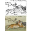 工笔动物白描底稿-郑路迅作品十二生肖-虎-斗方小品册页-LX03 商品缩略图0