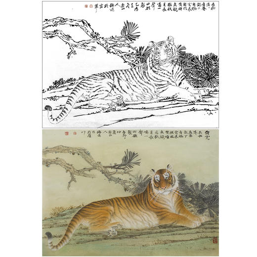 工笔动物白描底稿-郑路迅作品十二生肖-虎-斗方小品册页-LX03 商品图0