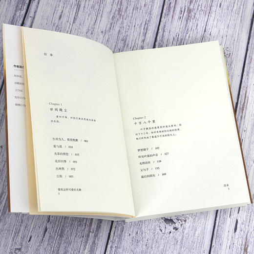 像我这样可爱的无赖 商品图5