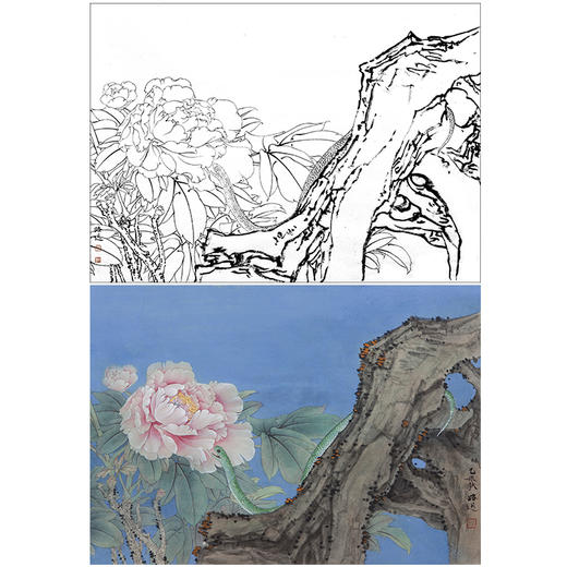 工笔动物白描底稿-郑路迅作品十二生肖-蛇-斗方小品册页-LX06 商品图0