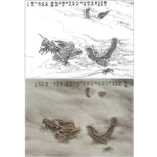 工笔动物白描底稿-郑路迅作品十二生肖-龙-斗方小品册页-LX05 商品图0