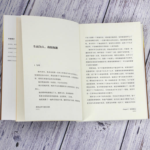 像我这样可爱的无赖 商品图4