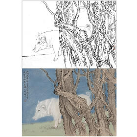 工笔动物白描底稿-郑路迅作品十二生肖-猪-斗方小品册页-LX12