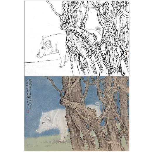工笔动物白描底稿-郑路迅作品十二生肖-猪-斗方小品册页-LX12 商品图0