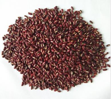 熟赤小豆（5斤装） 商品图0