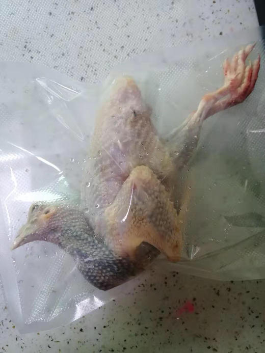 每周五配送，周四晚上8点截单＃鸽子，18月龄嫩鸽/五年老鸽，纯粮食喂养，冬季滋补好食材。产妇孕妇手术后康复人群，年老体弱及儿童，都很合适！ 商品图2