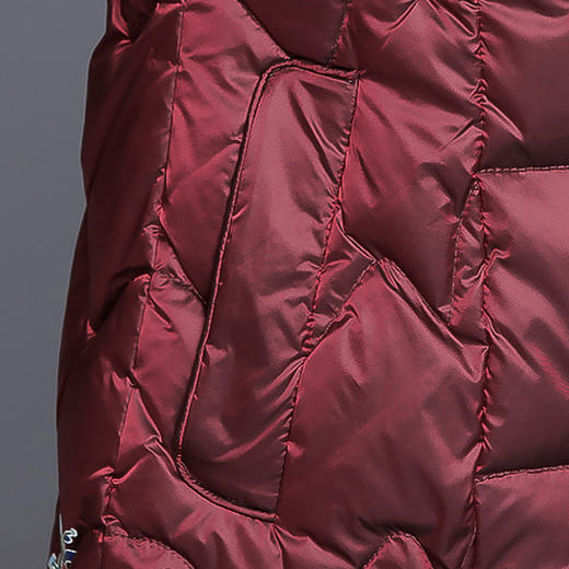 AML-BYG-201秋冬新款时尚妈妈洋气中老年女绣花鸭绒加厚棉衣 商品图3