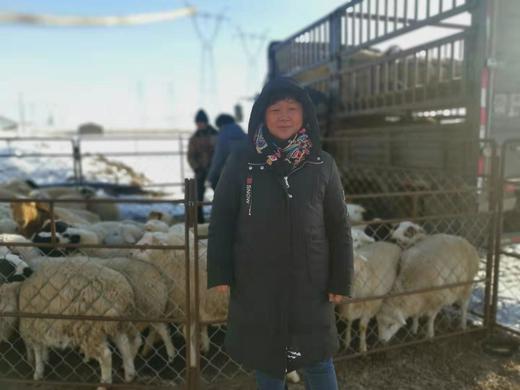 呼伦贝尔羊肉，天然散养，鲜美美味~超妈优选9年口碑好货 商品图5