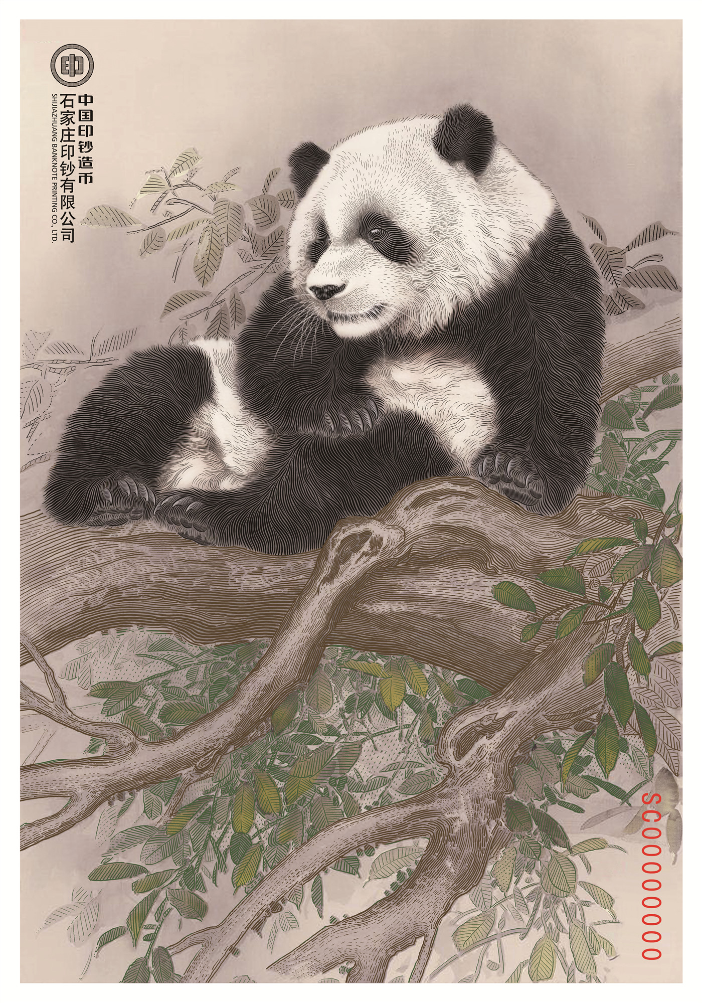 大熊猫钞艺画系列藏品（编号随机）