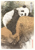 大熊猫钞艺画系列藏品（编号随机） 商品缩略图1