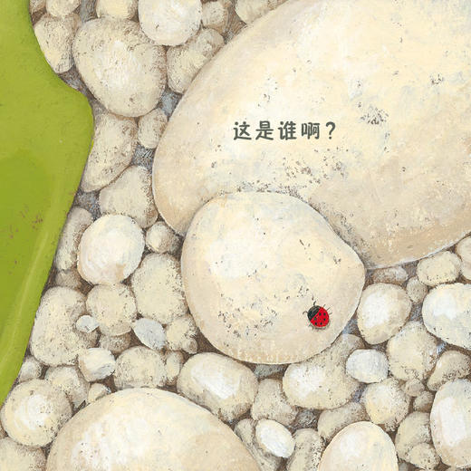 动物认知猜猜书——这是谁啊· 谁来啦· 谁住这里呀· 0-3岁宝宝翻翻书纸板书 幼儿启蒙认识书籍，浪花朵朵 后浪出版。 商品图1