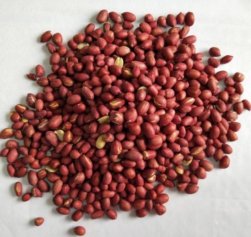 熟花生（5斤装） 商品图0