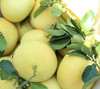【原产地直发】浙江名果玉环文旦 2020新果个头大水分足 商品缩略图1