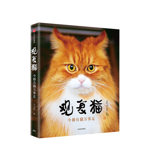 观复猫：今朝有猫万事足 马未都 著 猫闻轶事 铲屎官 萌宠 萌猫 中信出版社图书 正版 商品图1