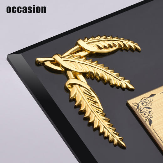 水晶授权牌定制奖牌制作定做奖杯创意纪念品高档玻璃荣誉金箔证书 商品图3