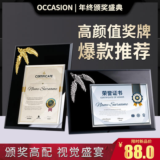 水晶授权牌定制奖牌制作定做奖杯创意纪念品高档玻璃荣誉金箔证书 商品图0