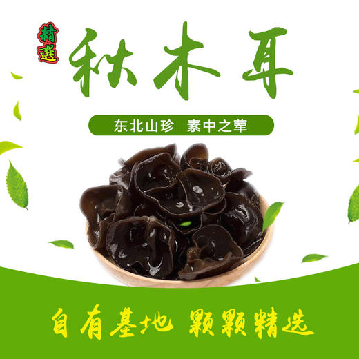 【吉味】吉林山珍礼盒 秋木耳榛蘑蒲公英根叶【发货时间待定】 商品图1