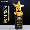 奖杯定制定做水晶五角星年会儿童创意高档优秀员工荣誉刻字制作 商品缩略图0