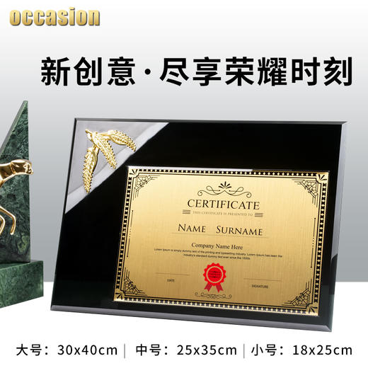 水晶授权牌定制奖牌制作定做奖杯创意纪念品高档玻璃荣誉金箔证书 商品图2