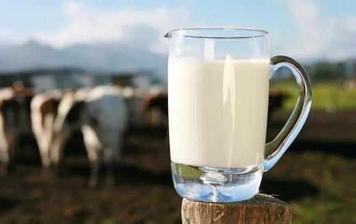 加拿大格兰特牛奶 蛋白质含量高 不给奶牛使用激素 无防腐 无添加 被誉为全球醉好的牛奶 原装原盒进口 真的需要抢|百里食 商品图3