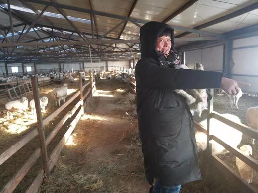 呼伦贝尔羊肉，天然散养，鲜美美味~超妈优选9年口碑好货 商品图7