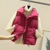 LX-L1904秋冬韩版坎肩百搭bf无袖马夹羽绒棉背心外套 商品缩略图2