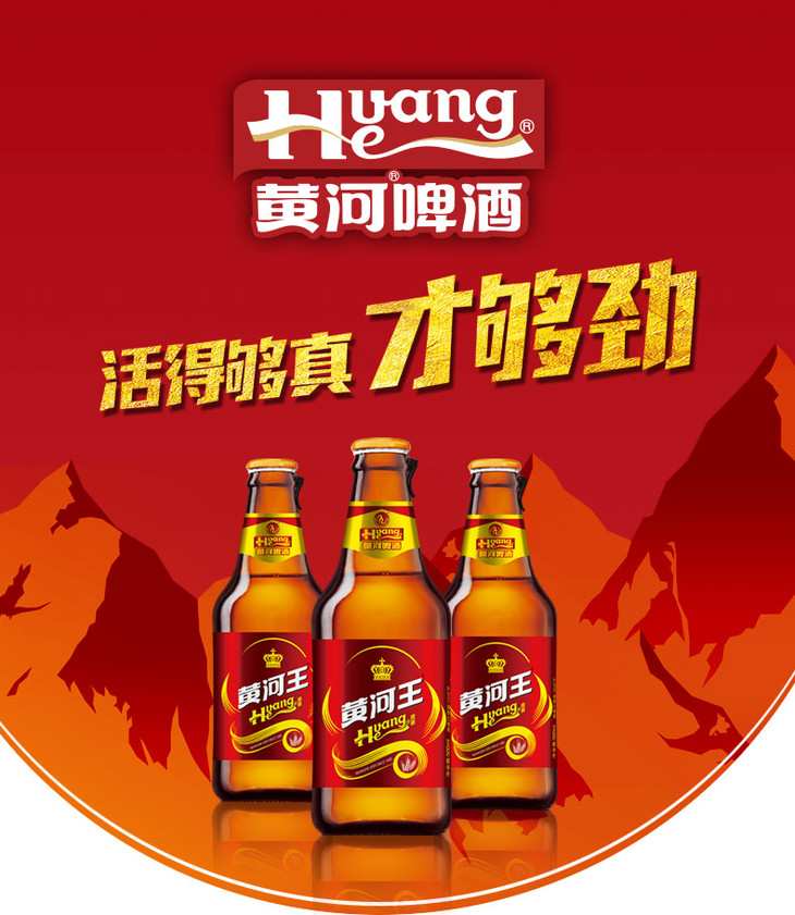 会员价646元黄河啤酒黄河王500ml12瓶