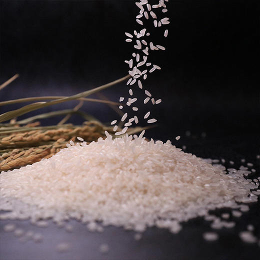 【世纪城定制】五常稻花香米1kg 商品图0