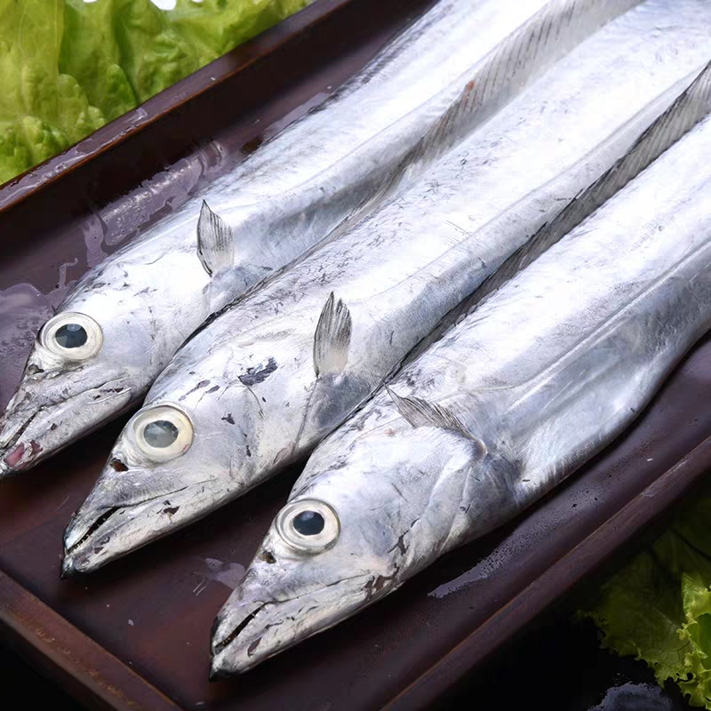 野生黑眼带鱼新鲜捕捞杀好急冻锁住营养每份杀前净重约500克帮杀好去