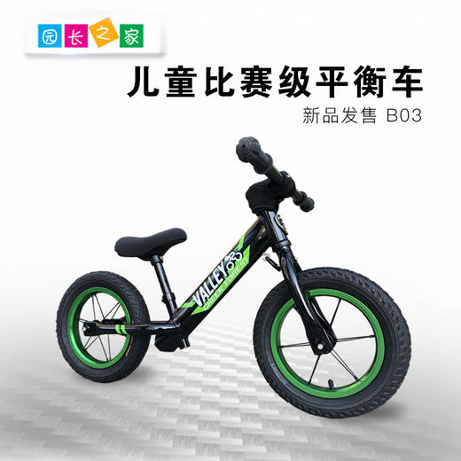 溪谷B03平衡车 商品图0