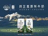 玛曲牧场牦牛奶 200ml*10盒/箱 商品缩略图2