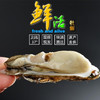 海阳乳山生蚝 4.5斤装 购买前请看详情 商品缩略图7