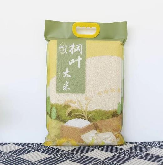 好米知食节 米好，胃口就好，2023年桐叶新米来啦！南粳系列 10斤真空装 商品图0