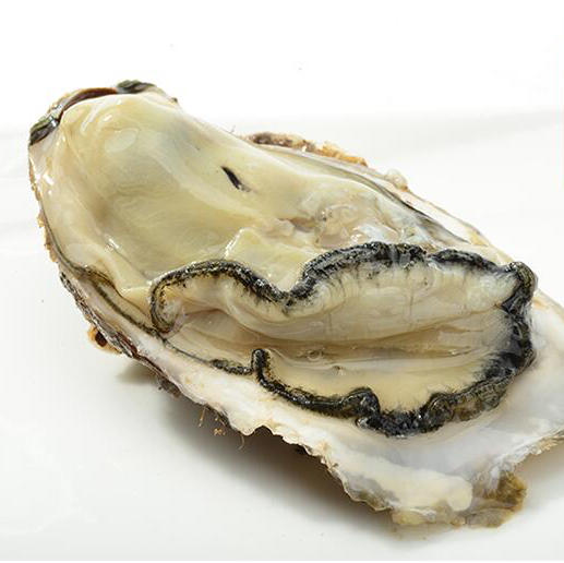 海阳乳山生蚝 4.5斤装 购买前请看详情 商品图4