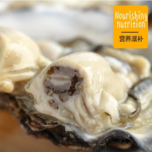 海阳乳山生蚝 4.5斤装 购买前请看详情 商品图3