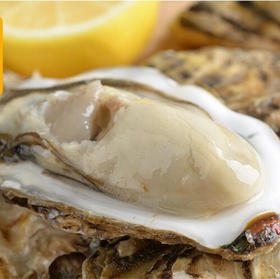 海阳乳山生蚝 4.5斤装 购买前请看详情