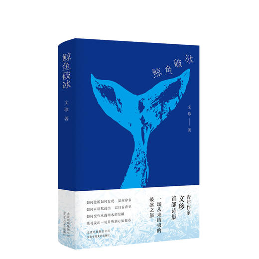 鲸鱼破冰 商品图0