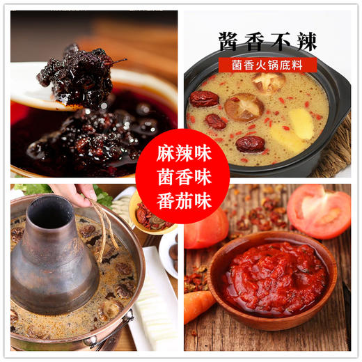 纯素火锅底料：麻辣味、番茄味、菌香味、豆汤味、椰香味 商品图0