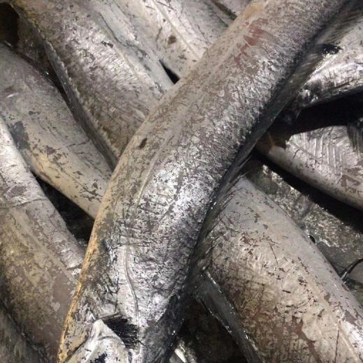 野生黑眼带鱼新鲜捕捞杀好急冻锁住营养每份杀前净重约500克帮杀好去