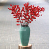 进口冬青瓶花（少量现货，随时售罄） 商品缩略图9