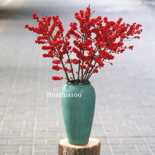进口冬青瓶花（少量现货，随时售罄） 商品图9