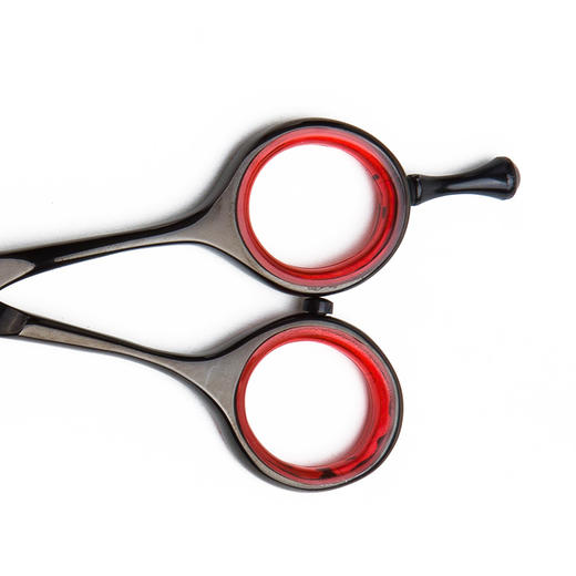 斑马 ZEBRA E55016  镀钛 刘海/A字剪/沙宣/直剪/结构剪/线条剪/镀钛/不跑发/蝴蝶柄/平剪/5.5寸 商品图1