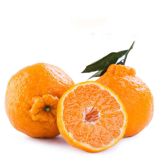 耙耙柑 商品图0