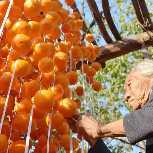 【产地直发包邮】小农守艺—青州古法柿饼500g 商品图6