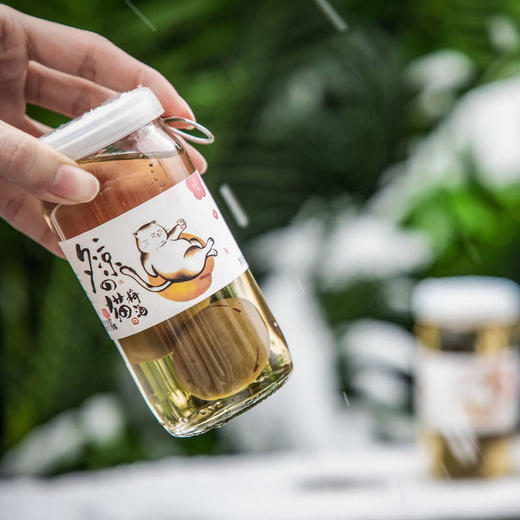 夕凉的猫梅子酒2瓶|出口日本大青梅，酸甜果香 商品图0