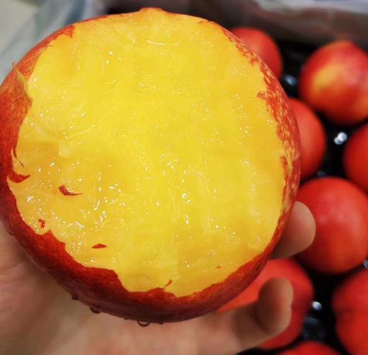 澳洲空运黄油桃顶级美味大自然的恩宠桃香浓郁硬口脆甜软口糯甜