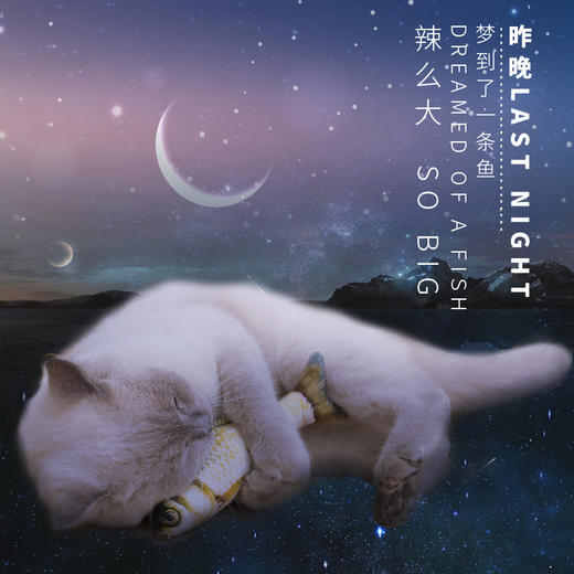 【积分商城】金多乐猫薄荷玩具鱼 商品图4