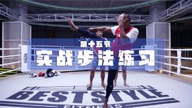 15.杀玉狼组合及高扫踢Ko一龙的技术分解。