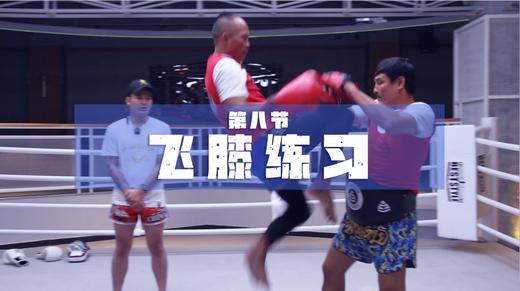 8.飞膝（冷门动作技术） 商品图0