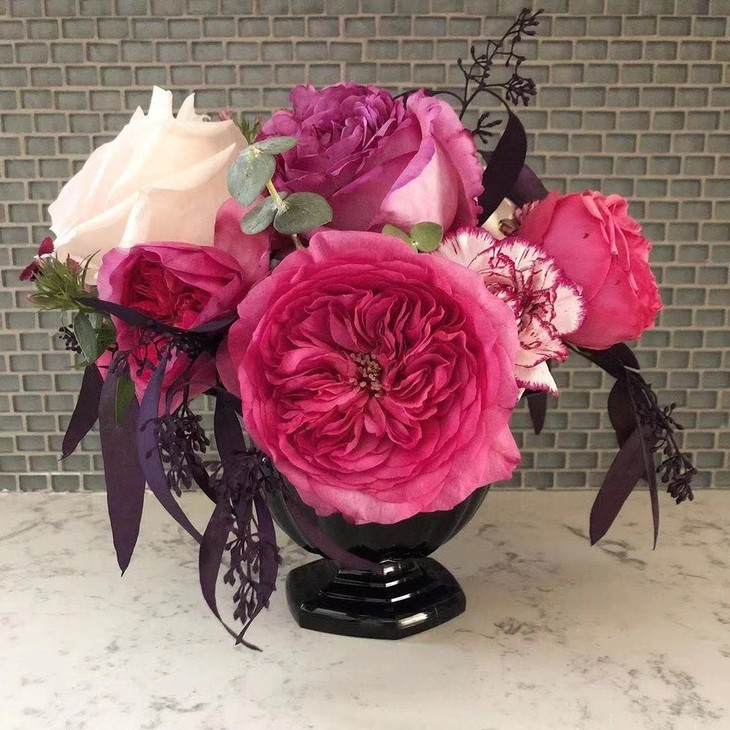 闪购进口哥伦比亚花园玫瑰男爵夫人12枝江浙沪皖顺丰包邮